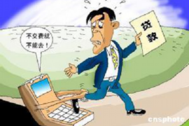 木兰木兰的要账公司在催收过程中的策略和技巧有哪些？